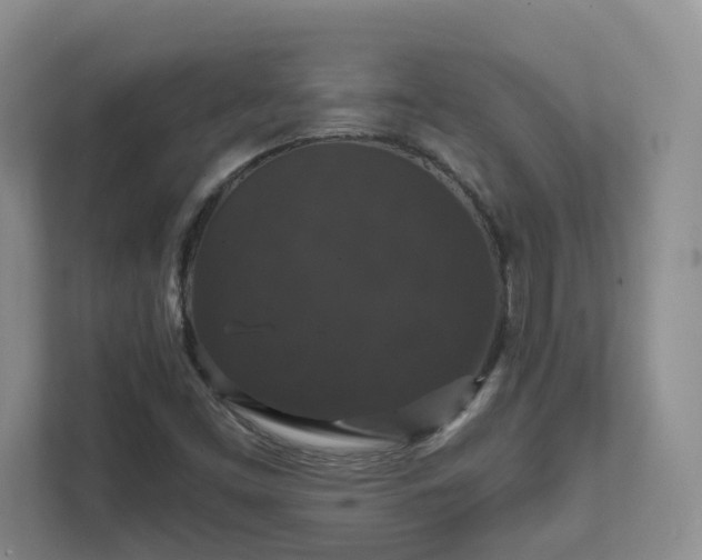 X0000111521453200907211214