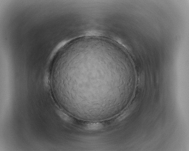 X0000111521454200907211214
