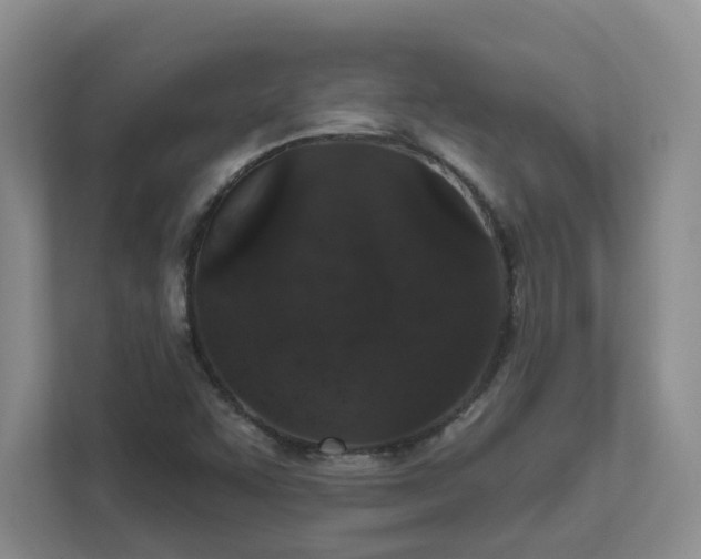 X0000111521455200907211214