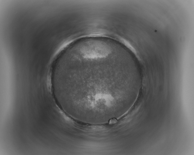 X0000111521456200907211214