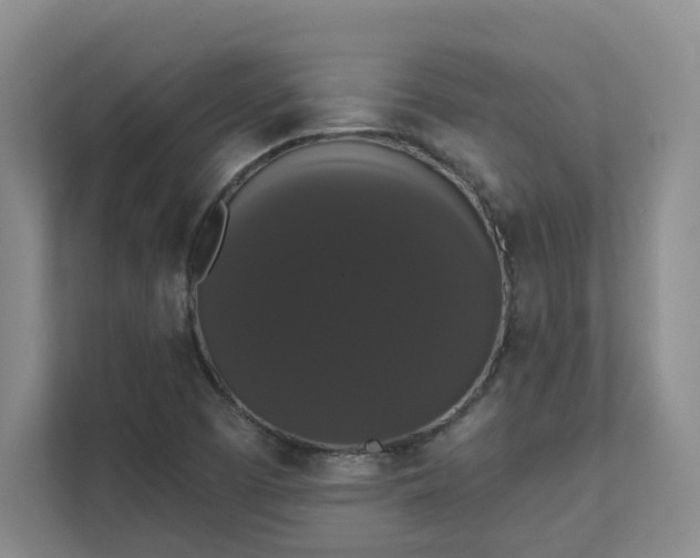 X0000111521457200907211214