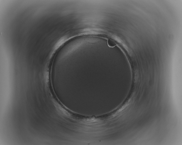 X0000111521459200907211214