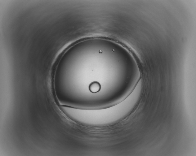 X0000111521460200907211214