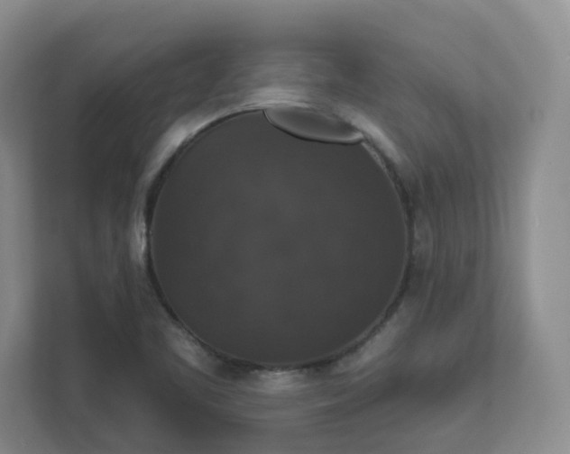 X0000111521461200907211214