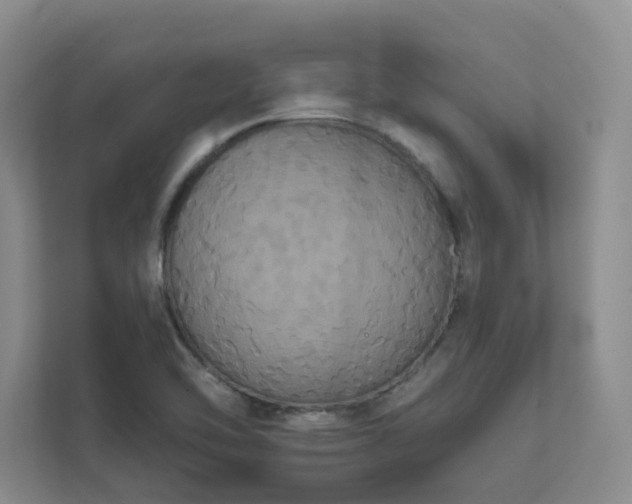 X0000111521462200907211214