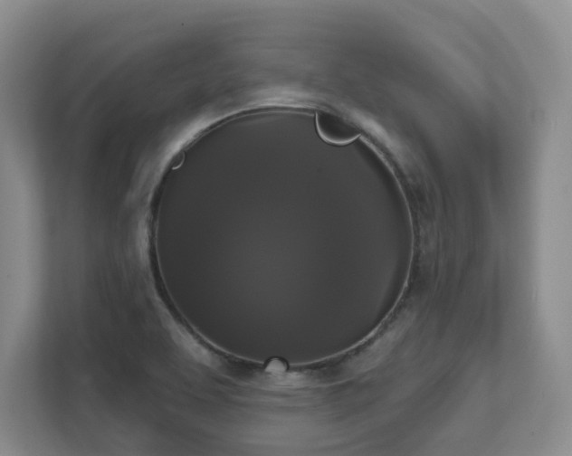 X0000111521463200907211214