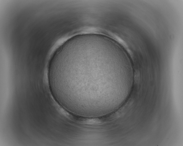 X0000111521464200907211214