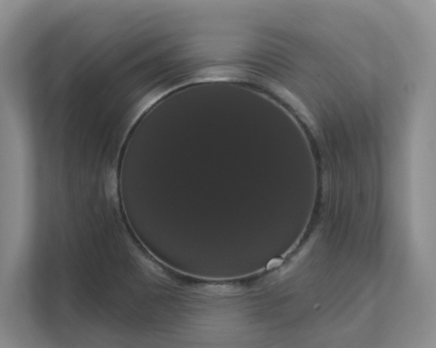 X0000111521465200907211214