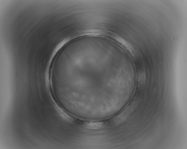 X0000111521466200907211214