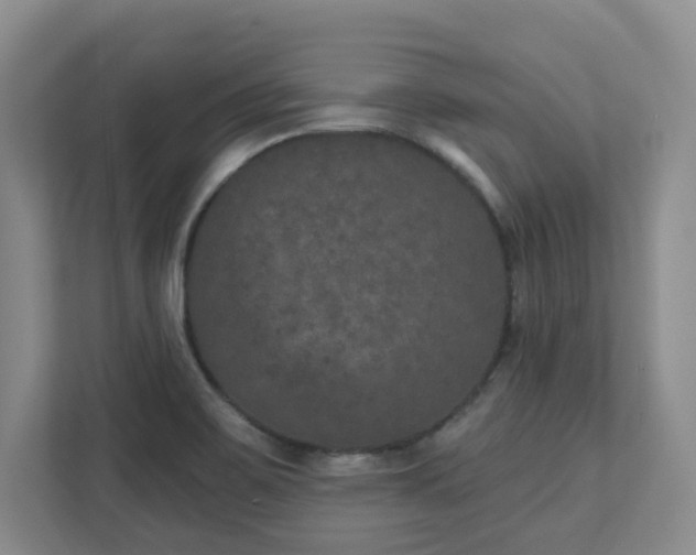 X0000111521467200907211214