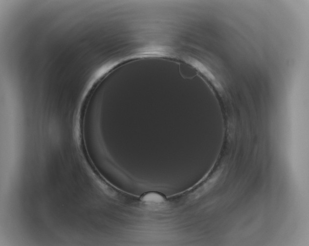 X0000111521469200907211214
