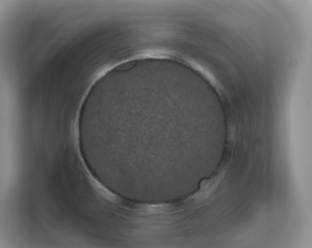 X0000111521471200907211214