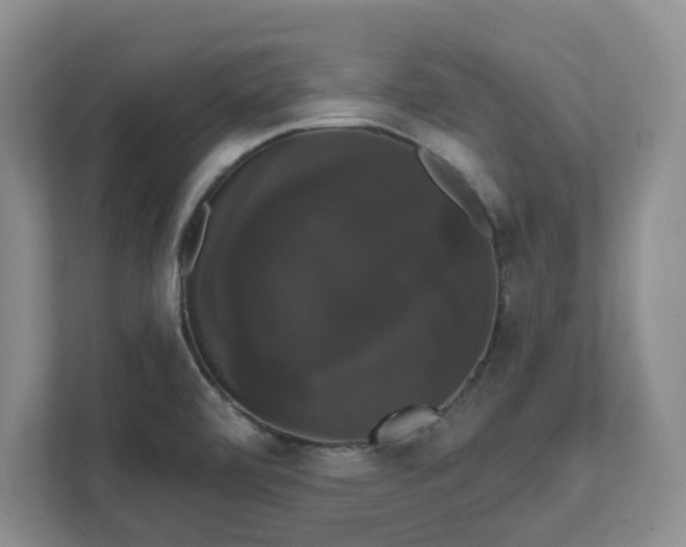 X0000111521472200907211214