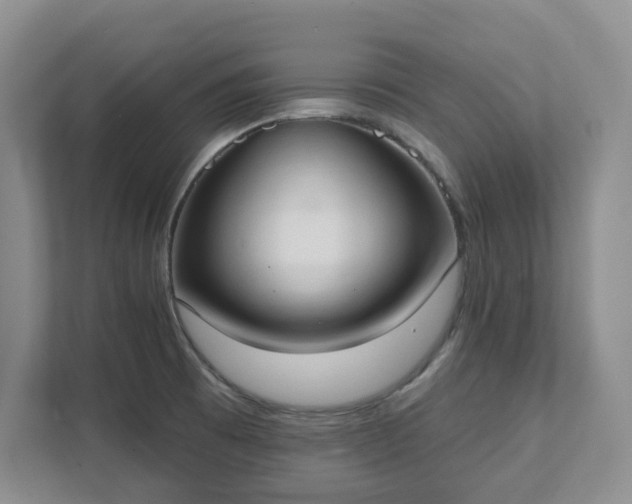 X0000111521473200907211214