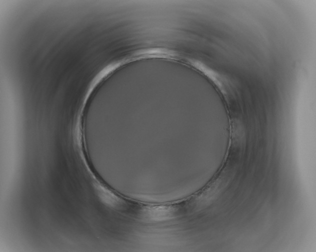 X0000111521474200907211214