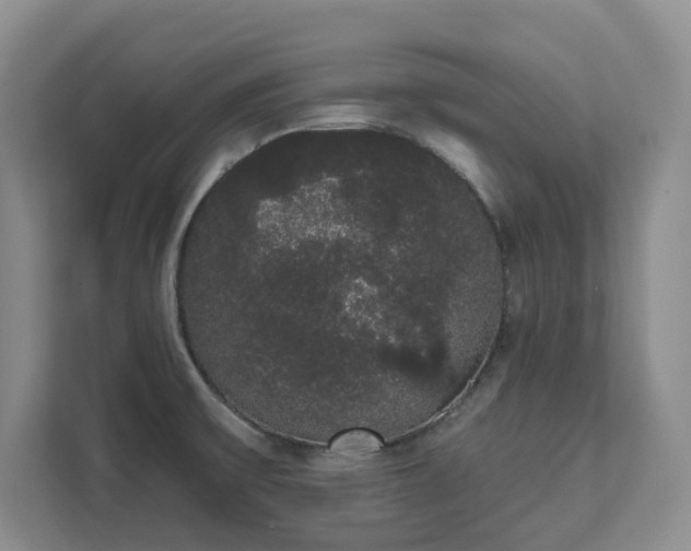 X0000111521475200907211214