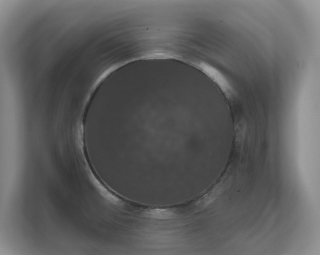 X0000111521476200907211214