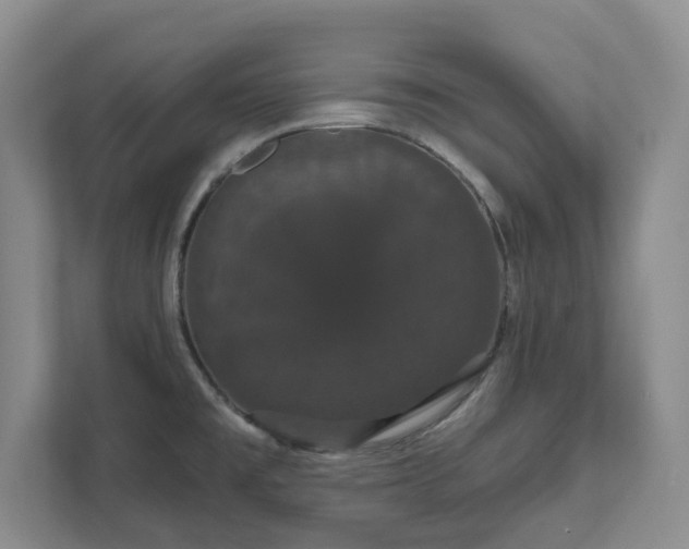 X0000111521477200907211214