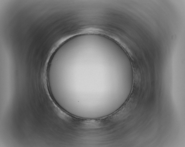 X0000111521478200907211214