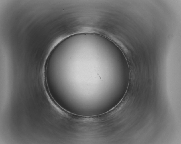 X0000111521479200907211214