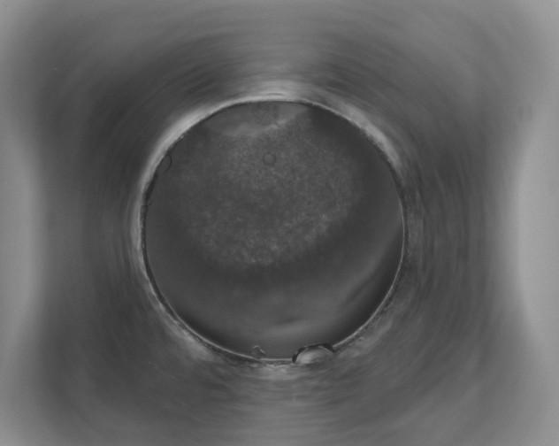 X0000111521480200907211214