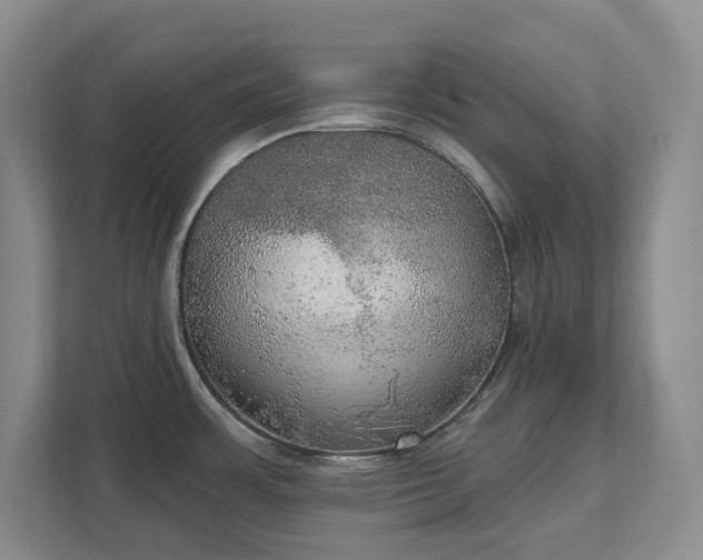 X0000111521483200907211214