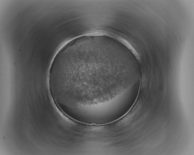 X0000111521484200907211214