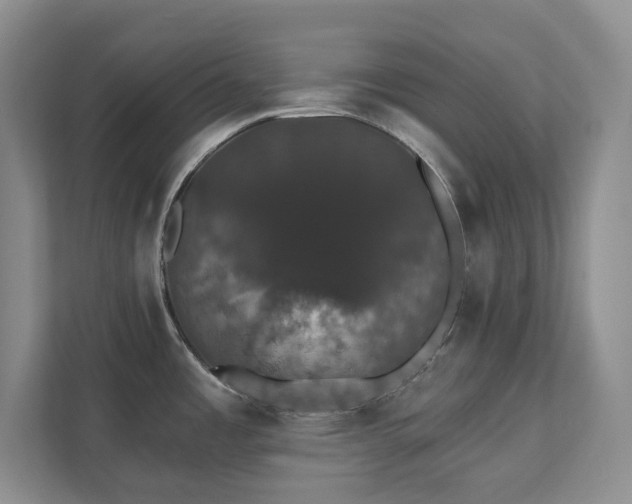 X0000111521485200907211214