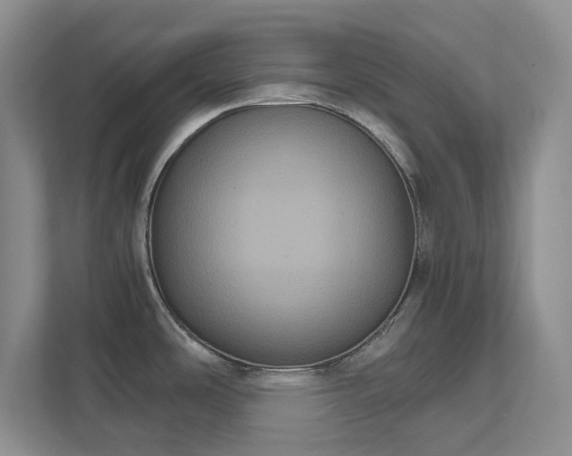 X0000111521486200907211214