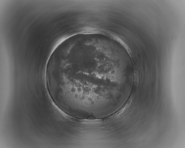 X0000111521487200907211214