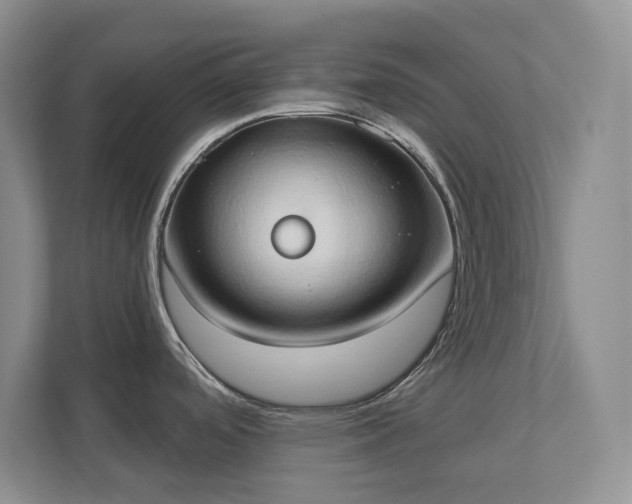 X0000111521488200907211214