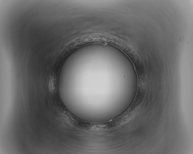 X0000111521490200907211213