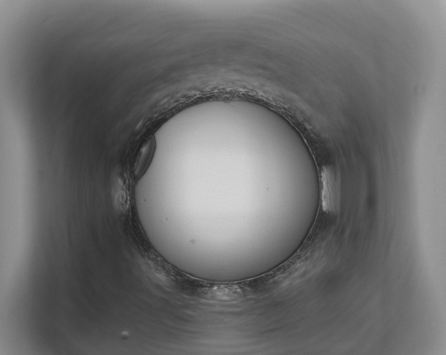 X0000111521491200907211213