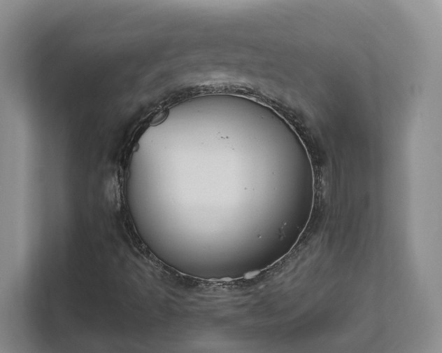 X0000111521493200907211213