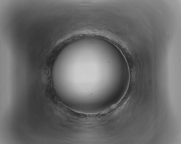 X0000111521494200907211213