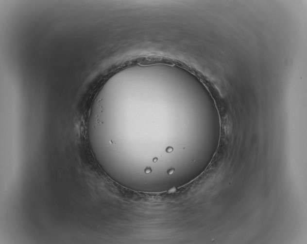 X0000111521495200907211213