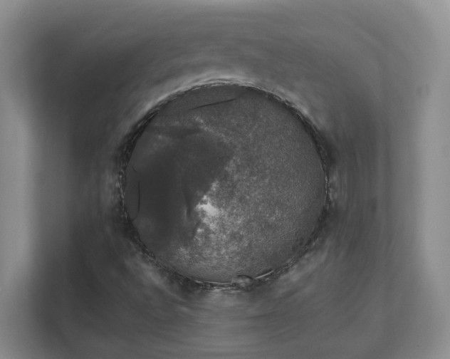 X0000111521496200907211213