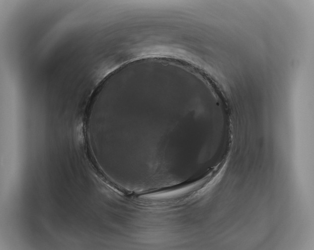X0000111521497200907211213