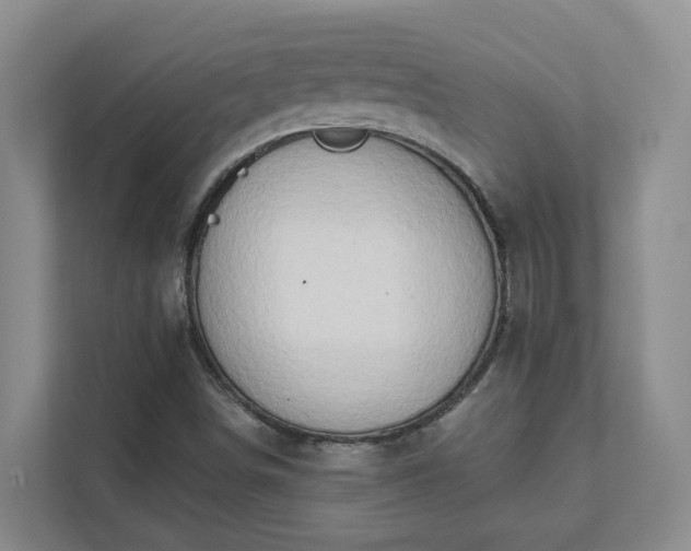 X0000111521498200907211213