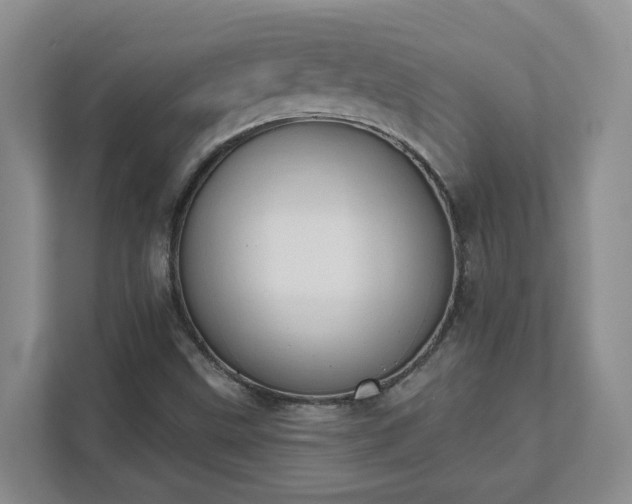 X0000111521499200907211213