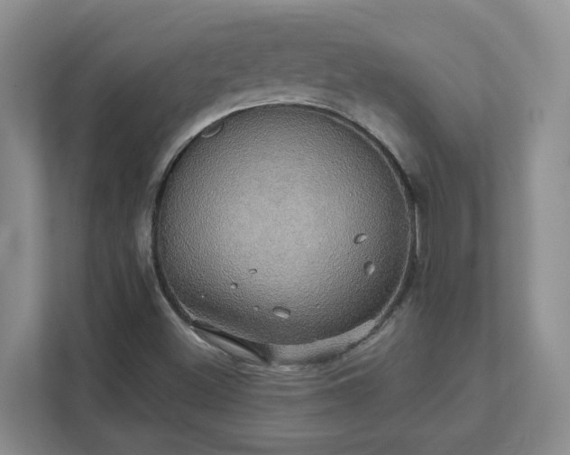 X0000111521500200907211213