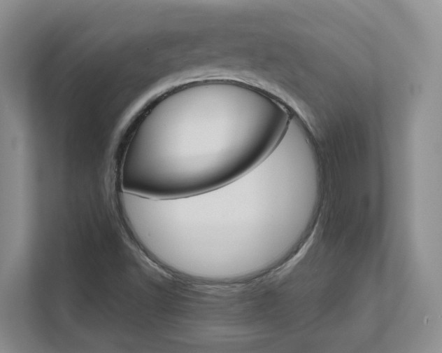 X0000111521502200907211213