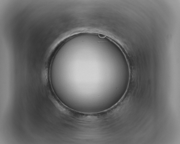 X0000111521503200907211213