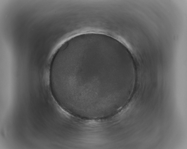 X0000111521504200907211213