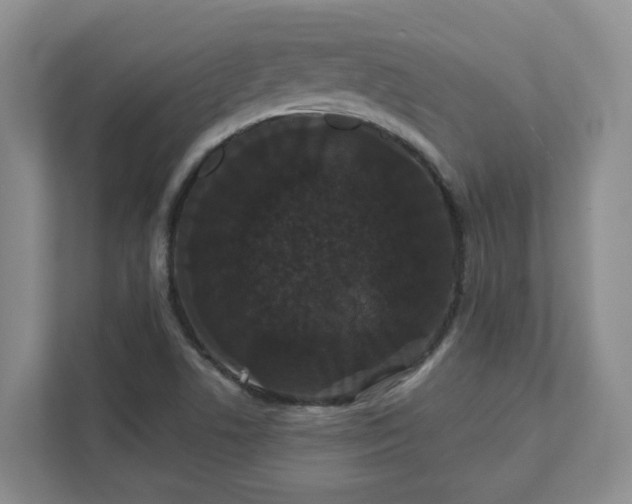 X0000111521506200907211213