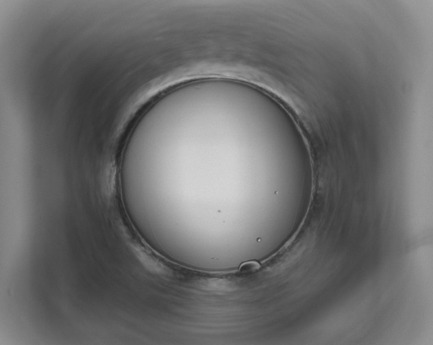 X0000111521507200907211213