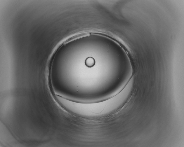 X0000111521508200907211213