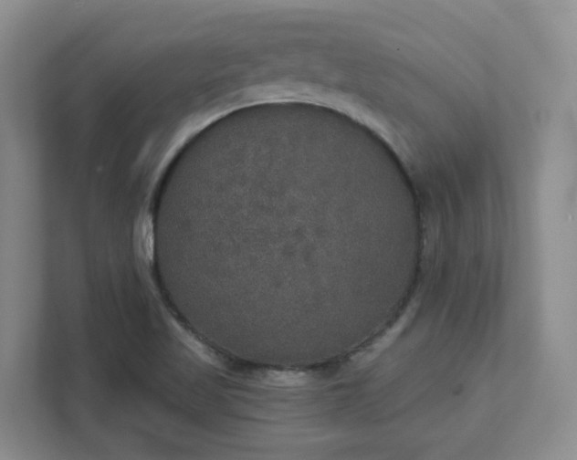 X0000111521509200907211213