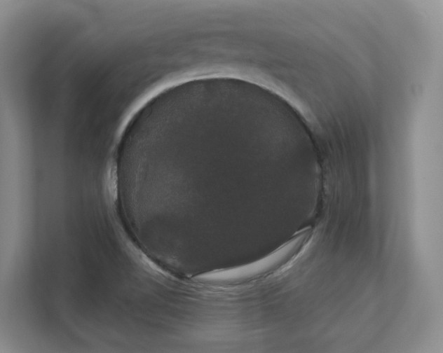 X0000111521510200907211213