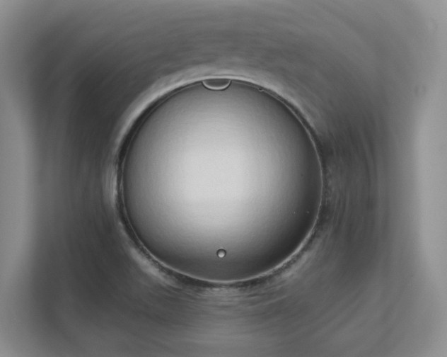 X0000111521511200907211213